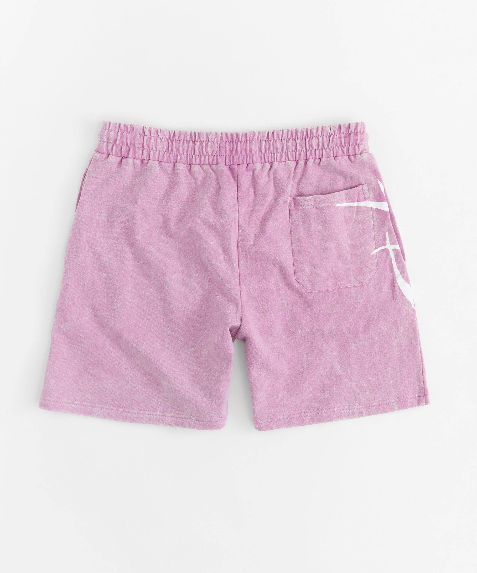 Washed Embroidered Short - Purple